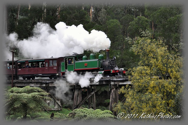 194-365 Puffing Billy on the Trestle Bridge