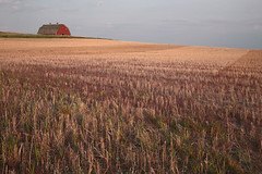 I Love The Prairies [colour]