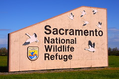 Sacramento National Wildlife Refuge