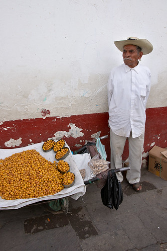 Mexican Street Ventor