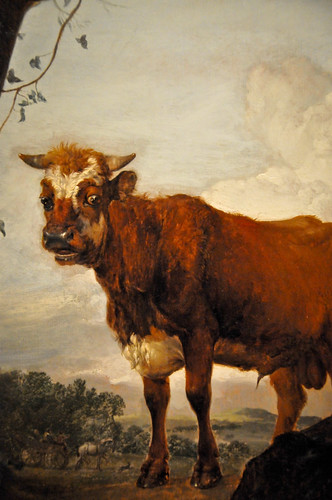 Paulus Potter - A Young Bull and Two Cows in a Meadow, 1649 at The Queen's Gallery Buckingham Palace London England