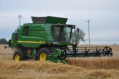 Harvest 2011