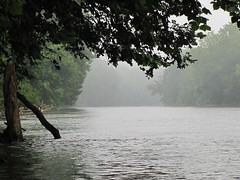 Staunton (or Roanoke) River