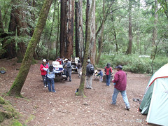 Big Basin Redwoods Park