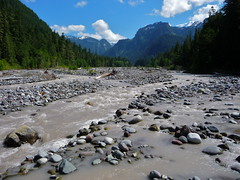 Carbon River Valley on Mount Rainier