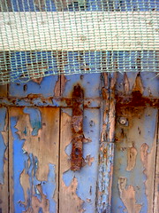blue + rust - group
