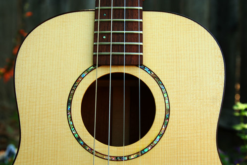 Dry Creek Guitar Baritone Ukulele by Laura O Photo