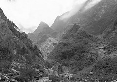 the world of Kalu, garsa valley, Himachal, India 