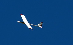 Model glider flying.