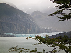 Lago y Glaciar Gray