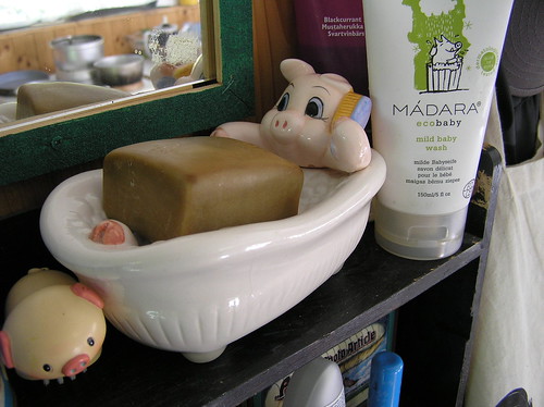 The piggy in the bathtub