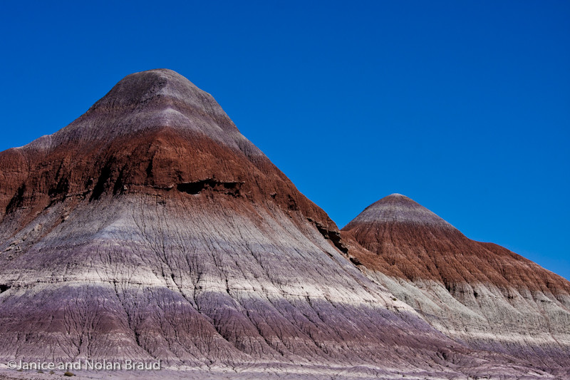 Painted Desert View in Petrified Forest NP JN036947