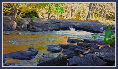 Ox-tongue River 2011 -  2023  -