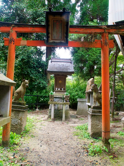 Temple of fox