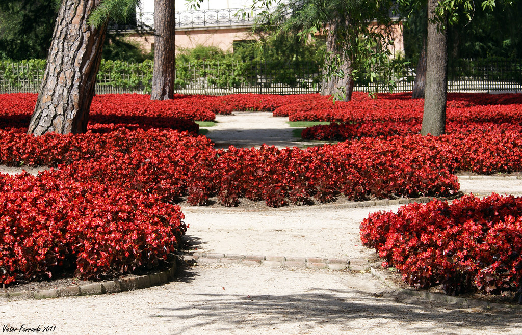 Jardín de Flores - Parque del Capricho - Madrid
