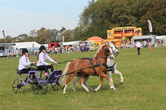 Gatcombe Park Country and Craft Show