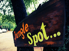 Jungle Spot....