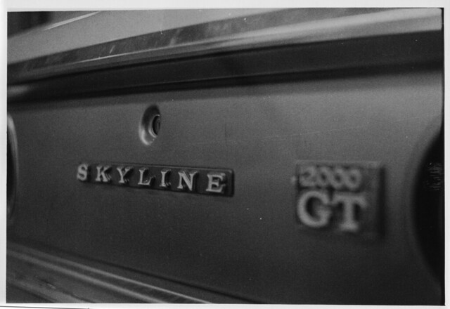 Skyline KGC110 Skyline logo Fatlace paddock