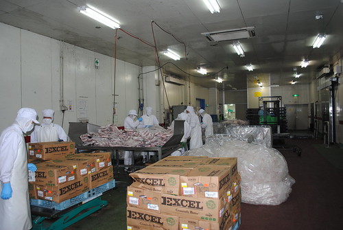 Matsuya Beef Processing Plant