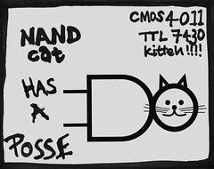 NAND Cat has a Posse