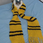 Hufflepuff scarf