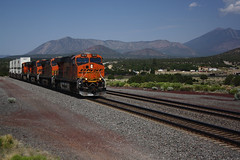 Rail, Arizona