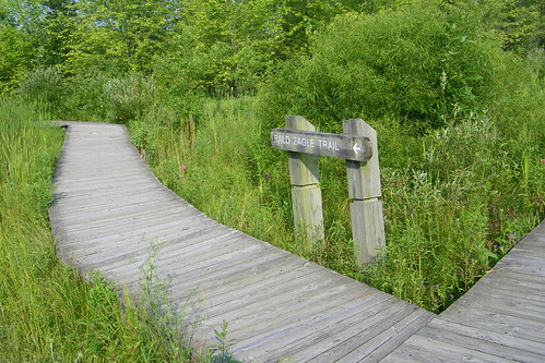 Crosswinds Marsh (Sumpter Township, Michigan)