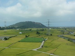 View From THSR Window