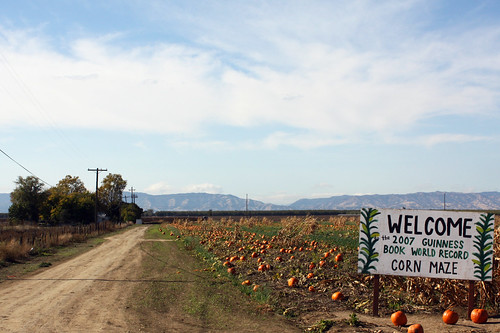 World's Largest Corn Maze, Dixon, CA