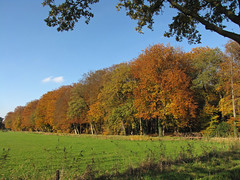 Autumn 2011