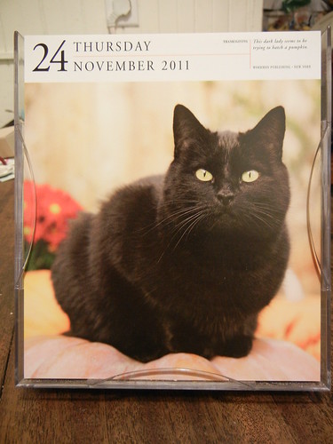 Cat Calendar _ 8130