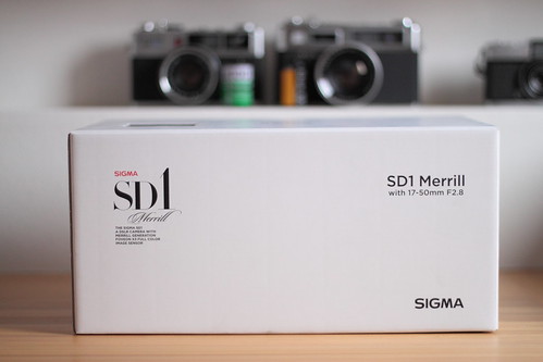 SIGMA SD1 Merrill 01