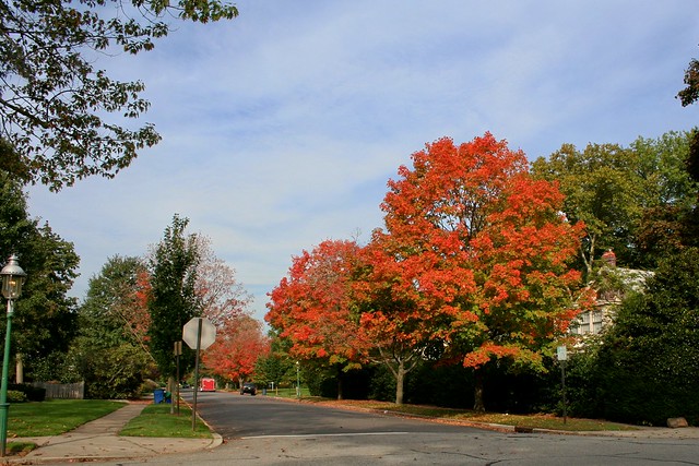 Glen Ridge NJ - Kissed By Autumn's Early Breezes