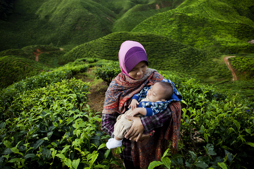 Mother and Son | Cameron Highlands | Malaysia