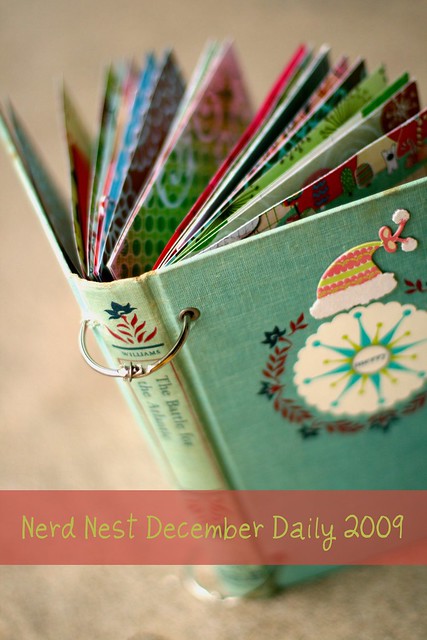 December Daily 2009 | Cover