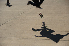 Shadow skates