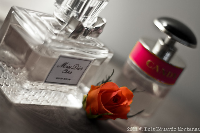 Perfume | Flickr - Photo Sharing