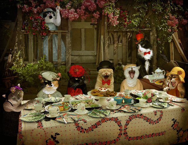 Mad Catter Tea Party (Revd) - enter Miss Poppy! (story below)