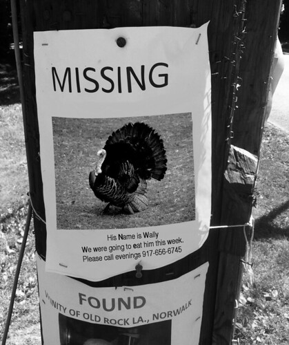 MISSING POSTER by Colonel Flick