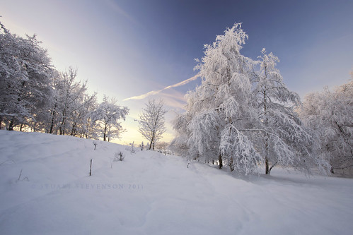 Snowdance by Stuart Stevenson