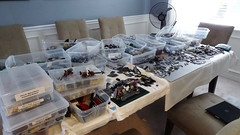 LEGO Organization Step 2
