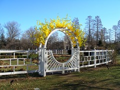 Missouri Botanical Garden (January 1, 2007)