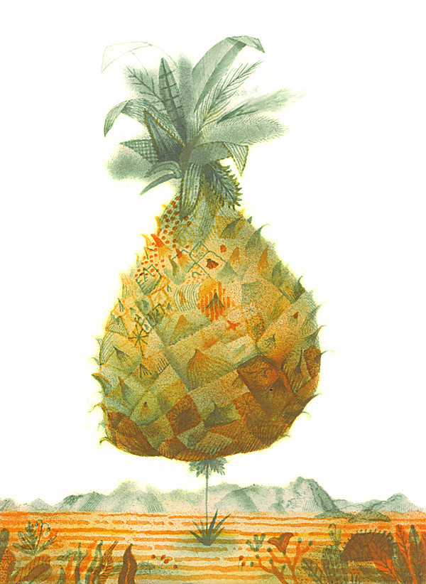 ananas-web