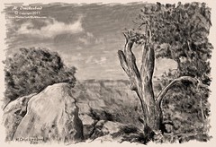 Grand Canyon Arizona, a digital pencil drawing