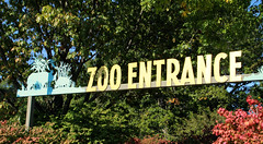 Bronx Zoo 20111009