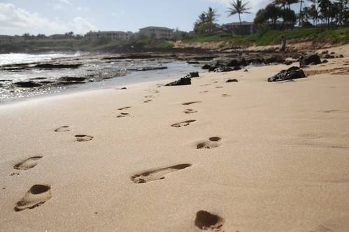 Day 326 - Footprints