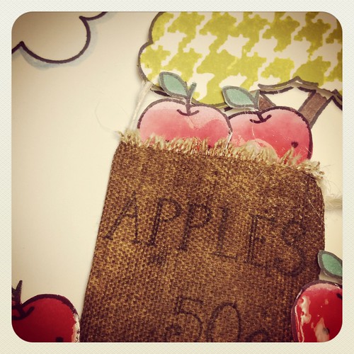 apple sack_closeup