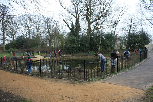 The Lilly Pond March 2012