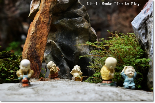 Little Monks Like To Play