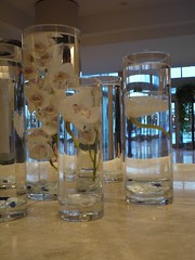 Water vases in Westin, Charlotte